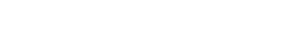 VIVIDCAR